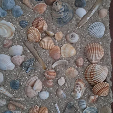 Butendiek * Cuxhaven