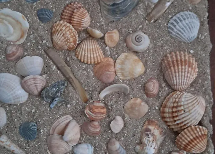 Butendiek * 库克斯港